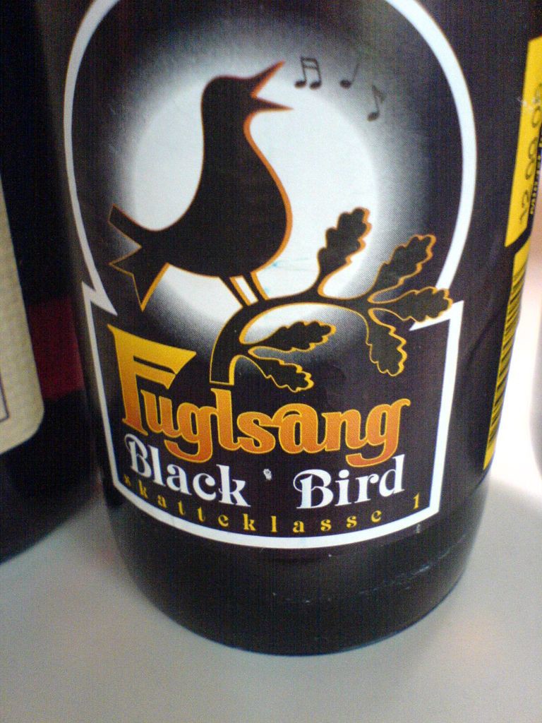 Fuglsang_Black_Bird