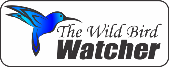 Wild Bird Watcher logo 343 pix by 124 png