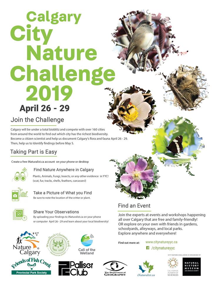 City Nature Challenge Birds Calgary