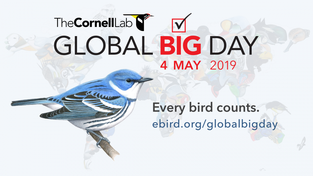 Global Big Day 2019