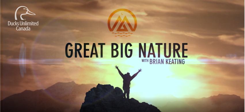 Great Big Nature