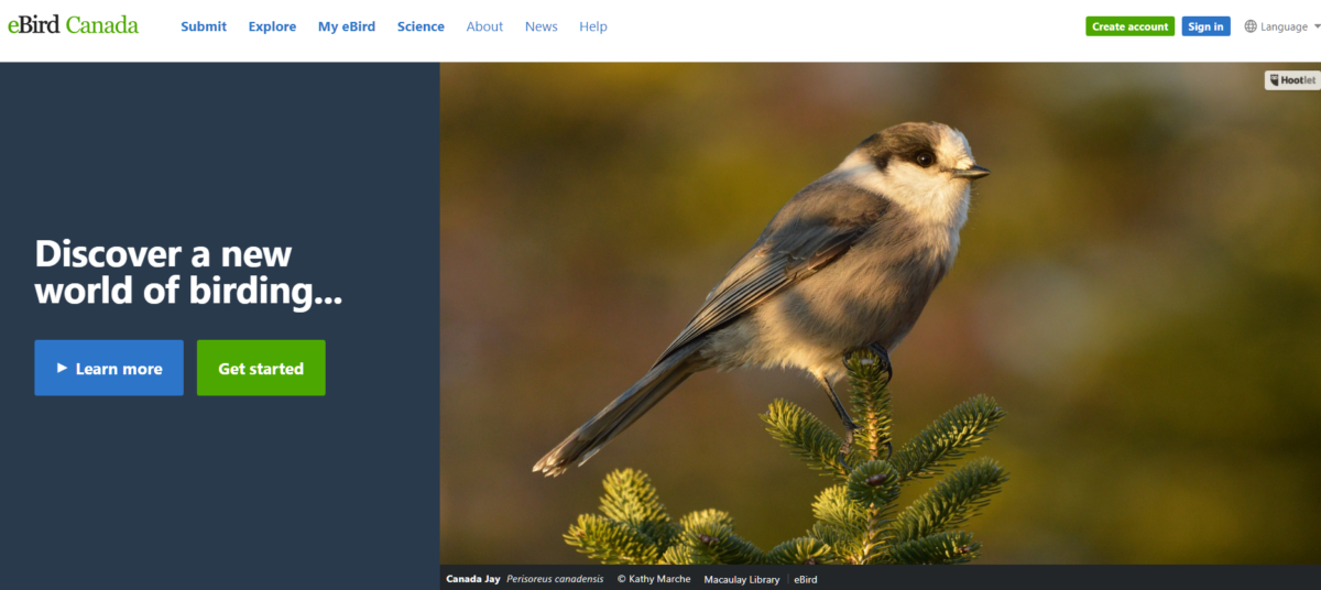  eBird Canada