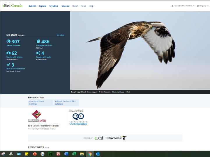 eBird page