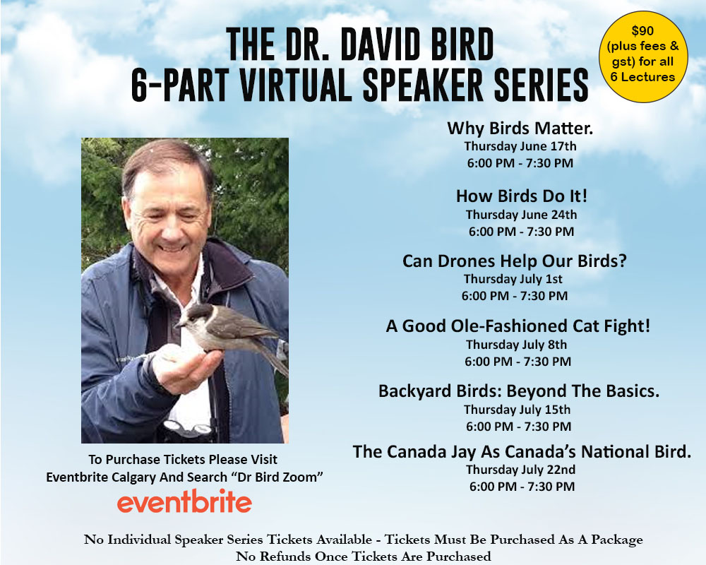 Dr. David Bird poster