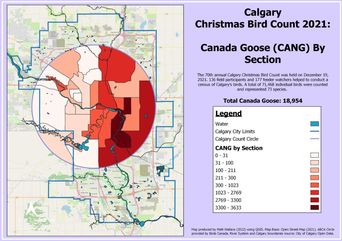Calgary Christmas Bird Count data