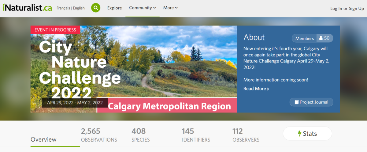 Calgary City Nature Challenge 2022